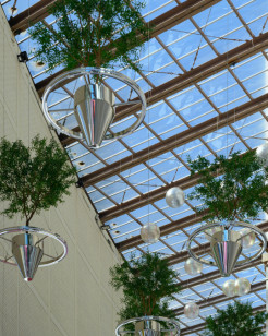 Professional Skylight Glass Installation Services