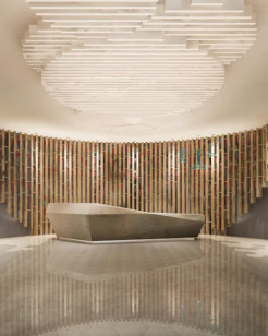 Expert False Ceiling Design Services for Modern Interiors